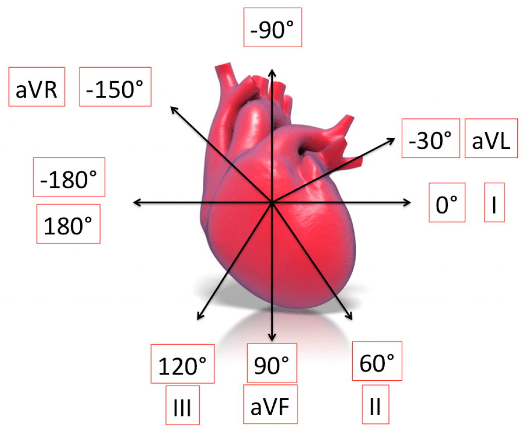 What Is Normal Axis In Ecg