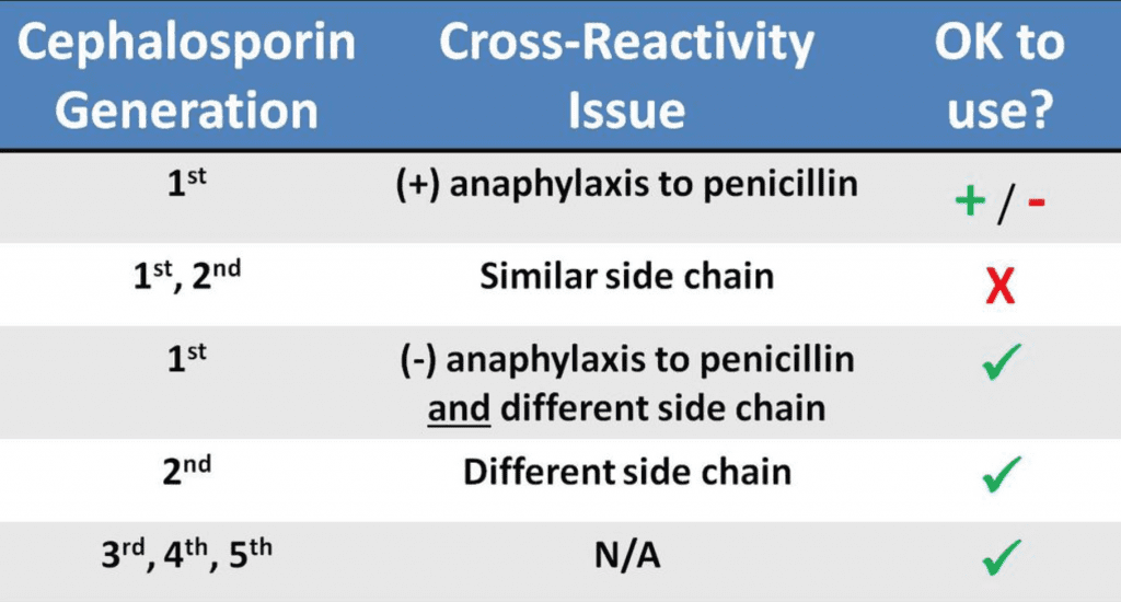 penicillin cross reactivity
