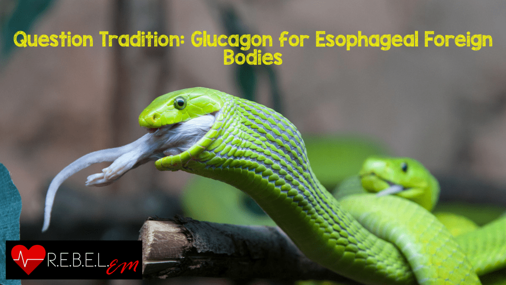 glucagon-and-esophageal-foreign-bodies