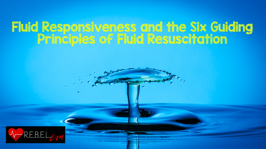 Fluid Responsiveness and the Six Guiding Principles of Fluid