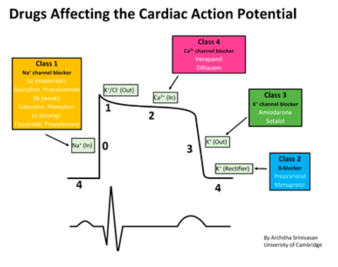 how the cardiac cycle works