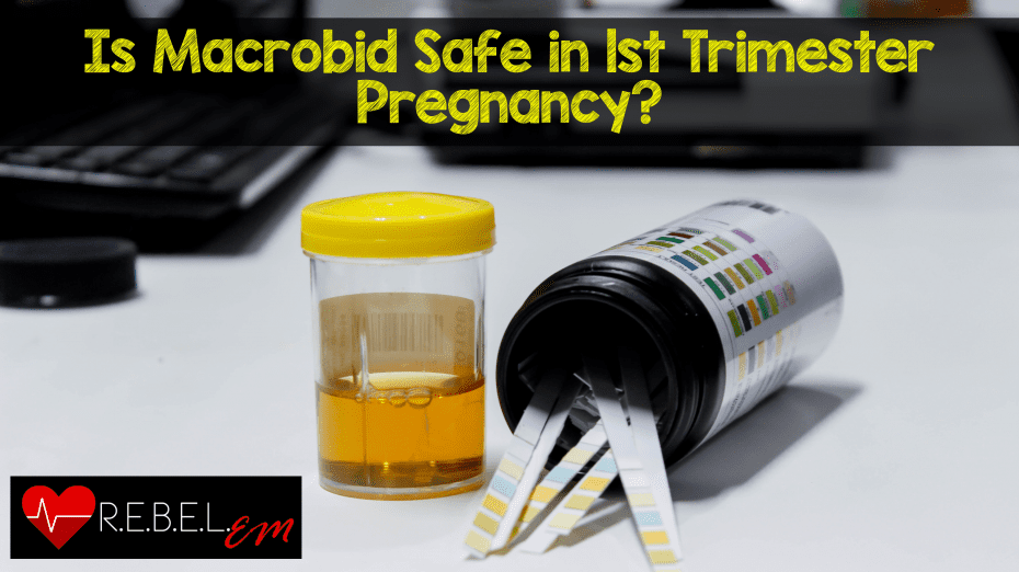 is macrobid antibiotic safe during pregnancy