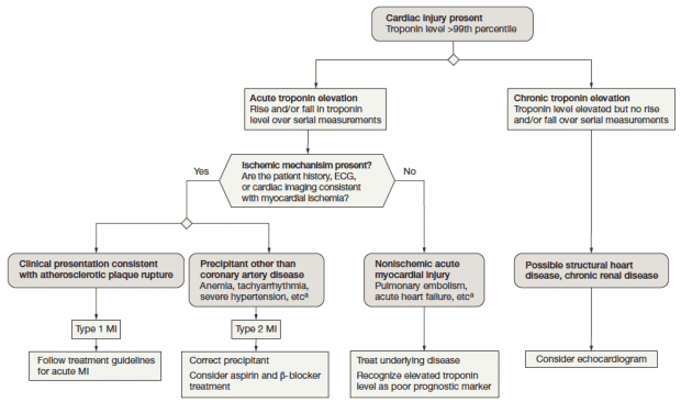 Type 2 Mi Algorithm Rebel Em Emergency Medicine Blog