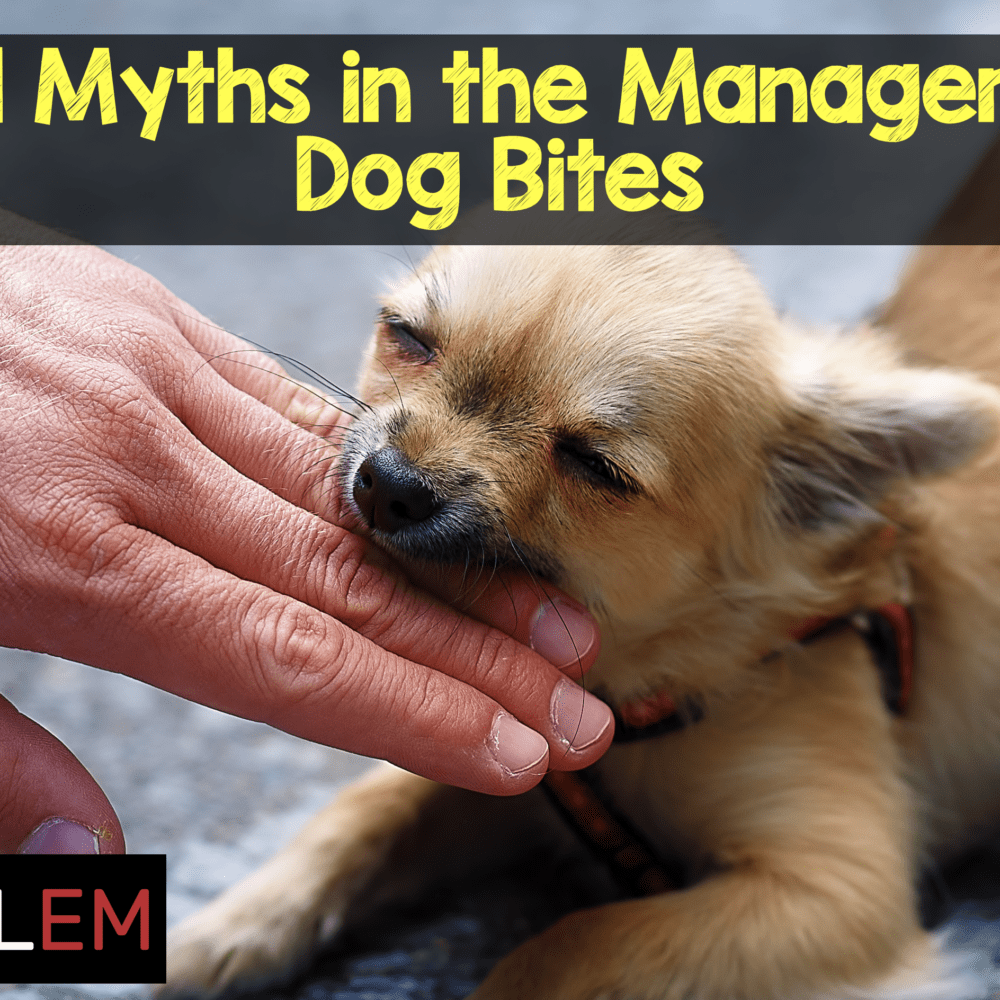 Medical Myths in the Management of Dog Bites MEDTAC International Corp.