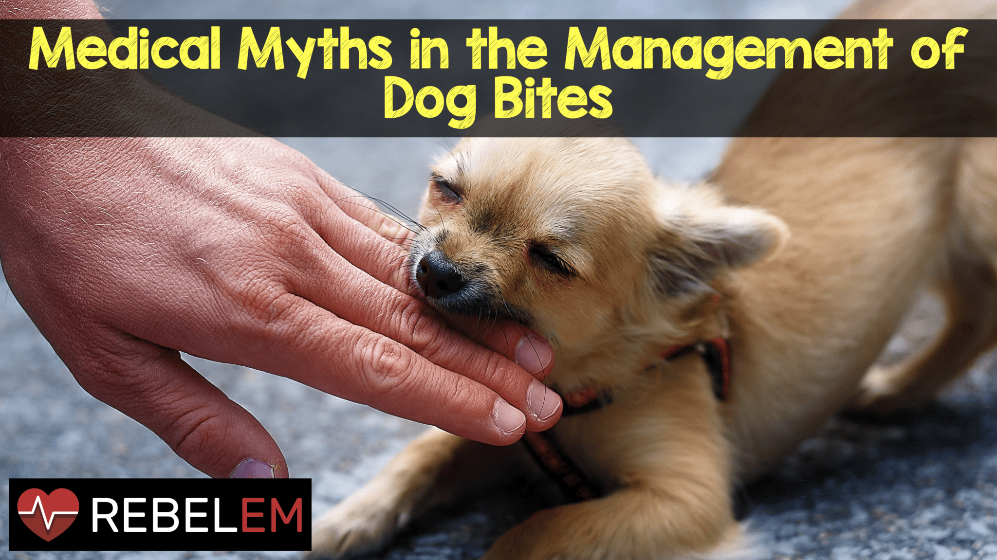 Medical Myths in the Management of Dog Bites - REBEL EM - Emergency  Medicine Blog