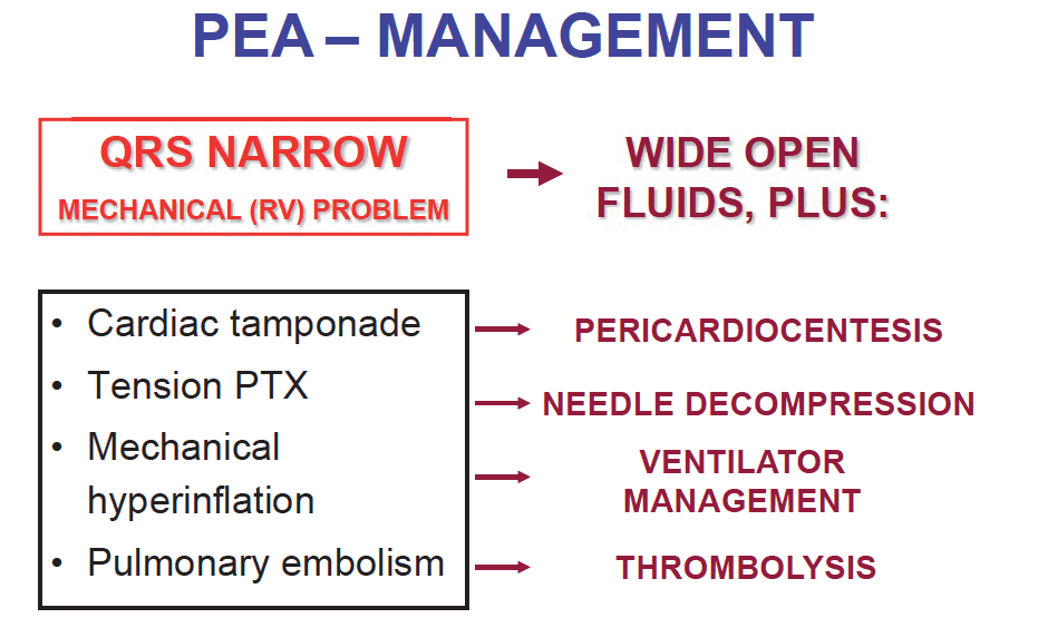 Narrow Complex PEA Management