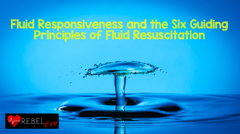 Fluid Responsiveness And The Six Guiding Principles Of Fluid ...