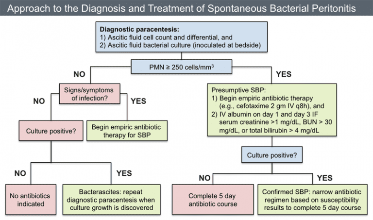 Spontaneous Bacterial Peritonitis Rebel Em Emergency Medicine Blog