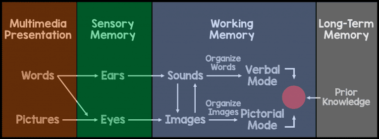 mayer-s-cognitive-theory-of-multimedia-learning-rebel-em-emergency