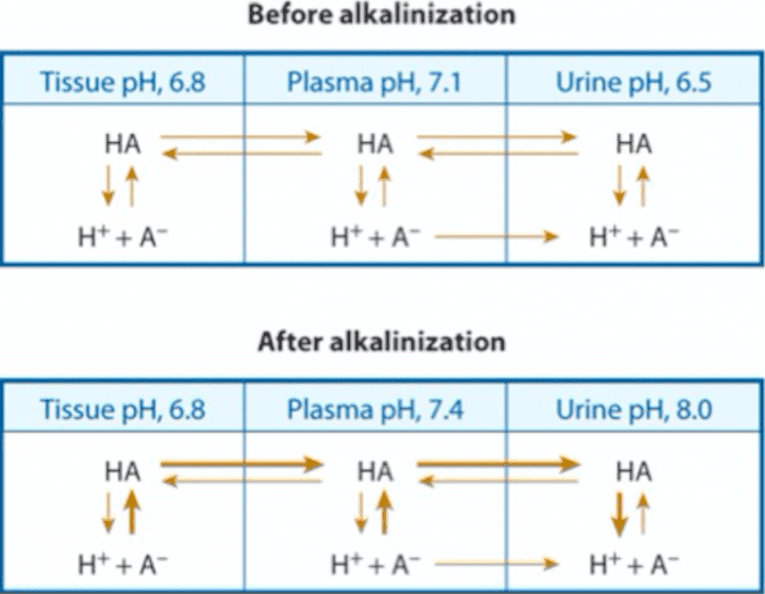 Alkalinization REBEL EM Emergency Medicine Blog