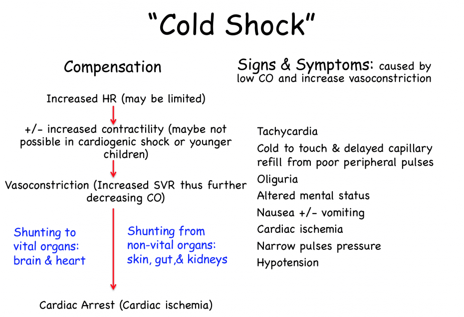 Approach to the Critically Ill Child: Shock - REBEL EM - Emergency ...